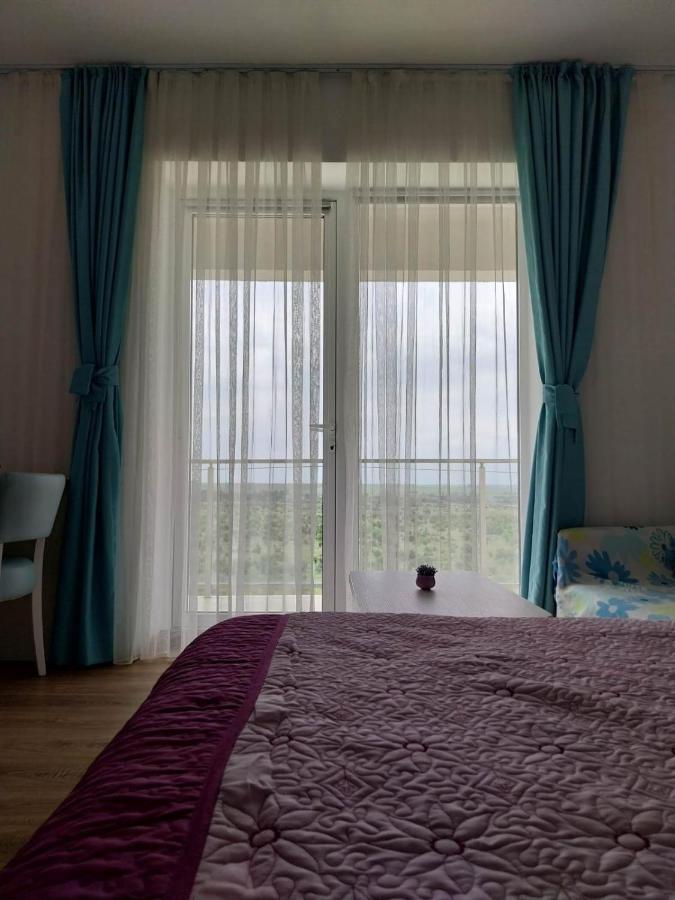 Blaxy Resort Stefi Cu Acces La Piscine Gratuit Douazeci si Trei August Luaran gambar